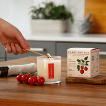 Load image into Gallery viewer, Tomato Vine Plant The Box Candle