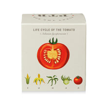 Load image into Gallery viewer, Tomato Vine Plant The Box Candle