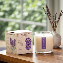 Load image into Gallery viewer, Heath Lavender Plant The Box Candle