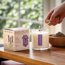 Load image into Gallery viewer, Heath Lavender Plant The Box Candle