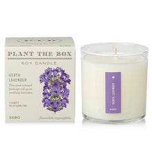 Load image into Gallery viewer, Heath Lavender Plant The Box Candle