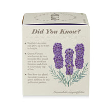 Load image into Gallery viewer, Heath Lavender Plant The Box Candle