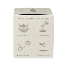 Load image into Gallery viewer, Heath Lavender Plant The Box Candle