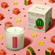 Load image into Gallery viewer, Ripe Watermelon Plant The Box Candle