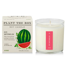 Load image into Gallery viewer, Ripe Watermelon Plant The Box Candle