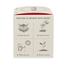 Load image into Gallery viewer, Ripe Watermelon Plant The Box Candle