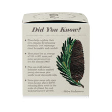 Load image into Gallery viewer, Rustic Pine Plant The Box Candle