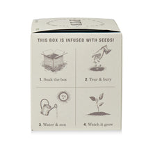 Load image into Gallery viewer, Rustic Pine Plant The Box Candle
