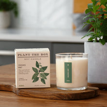 Load image into Gallery viewer, Crushed Mint Plant The Box Candle