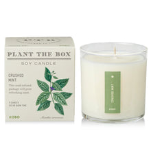 Load image into Gallery viewer, Crushed Mint Plant The Box Candle