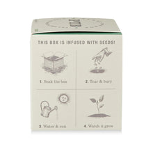 Load image into Gallery viewer, Crushed Mint Plant The Box Candle