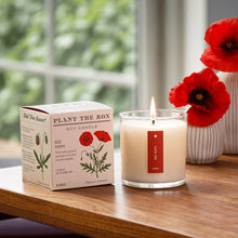Load image into Gallery viewer, Red Poppy Plant The Box Candle, lit white soy wax candle in clear glass jar with red label beside illustrated poppy plant product box on wooden surface with red poppy flowers in vases in background. 