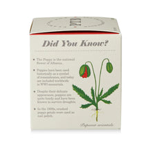 Load image into Gallery viewer, Red Poppy The Box Candle, product box side with illustrated poppy plant and informational text panel against white background. 