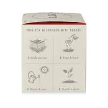Load image into Gallery viewer, Red Poppy Plant The Box Candle, product box side with illustrated four-step seed-infused planting instructional guide against white background. 