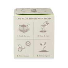 Load image into Gallery viewer, Fresh Picked Basil Plant The Box Candle, product box side with illustrated four-step seed-infused planting instructional guide against white background. 