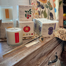 Load image into Gallery viewer, Gold Candle Snuffer, gold-tone metal candle snuffer displayed on a distressed wood surface beside assorted white soy candles with product boxes featuring  botanical illustrations in a retail store setting. 