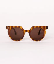 Load image into Gallery viewer, Aster Sunglasses