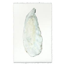 Load image into Gallery viewer, Oyster Study #9