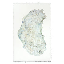Load image into Gallery viewer, Oyster Study #14