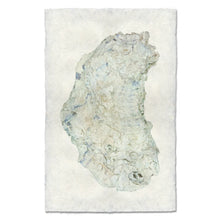 Load image into Gallery viewer, Oyster Study #14