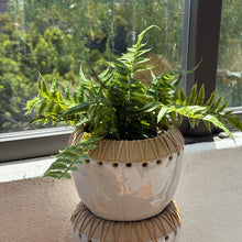 Load image into Gallery viewer, Potted Faux Fern