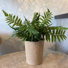 Load image into Gallery viewer, Potted Faux Fern