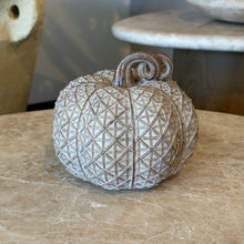 Load image into Gallery viewer, Resin Beige Textured Pumpkin | Three Styles