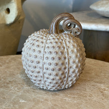 Load image into Gallery viewer, Resin Beige Textured Pumpkin | Three Styles