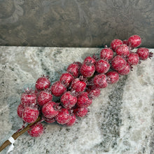Load image into Gallery viewer, Glittered a red Rosehip Stem