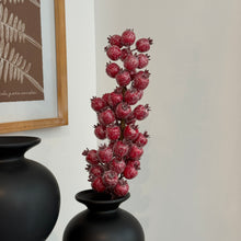 Load image into Gallery viewer, Glittered a red Rosehip Stem