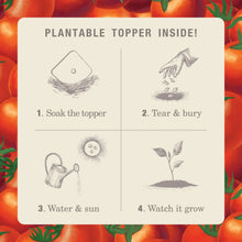 Load image into Gallery viewer, Wild Tomato Tin Candle