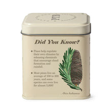 Load image into Gallery viewer, Rustic Pine Tin Candle