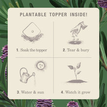 Load image into Gallery viewer, Rustic Pine Tin Candle