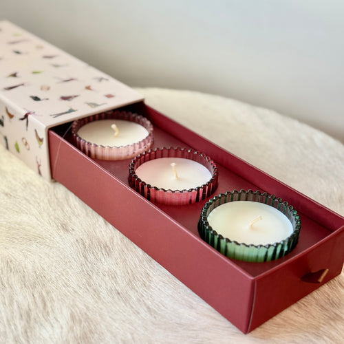 Three unlit white candles in decorative ribbed glass holders inside a red box on a white fur surface. A white colored  box cover ,with blurred colorful decorations slid out from behind the red box. Pink, red, and green glass candle holders. Against a white background. 