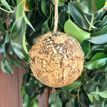 Load image into Gallery viewer, Dried Greenery Ornament | 5 Styles
