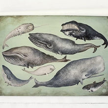 Load image into Gallery viewer, Well, Oh Whale! Paper Placemat | Set of 30