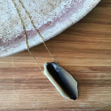 Load image into Gallery viewer, Buffalo Horn + Crystal Teardrop Necklace