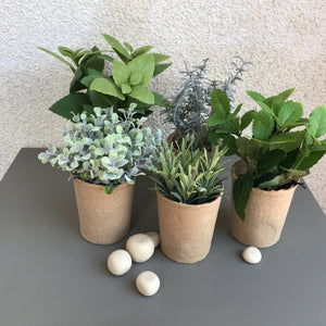 Faux Herb Plants available at Bench Home