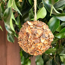 Load image into Gallery viewer, Dried Greenery Ornament | 5 Styles