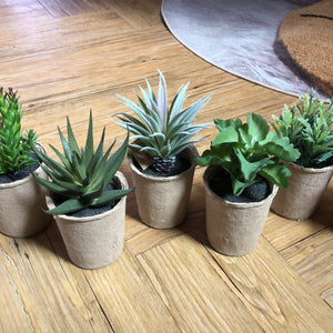 Faux Succulent available at Bench Home