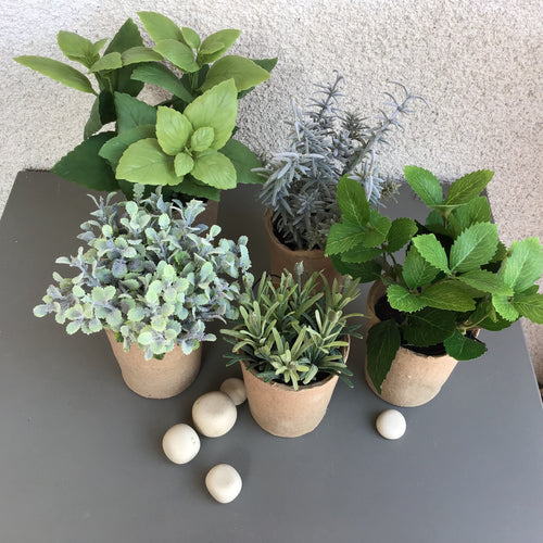 Faux Herb Plants