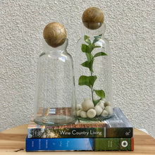 Load image into Gallery viewer, Glass Decanters/ Two Sizes, two clear glass decanters in varying sizes, taller one displayed with a mango wood sphere stopper and filled with decorative stones and green stem, shorter one empty with mango wood stopper, arranged on stacked books against a textured light-colored wall.