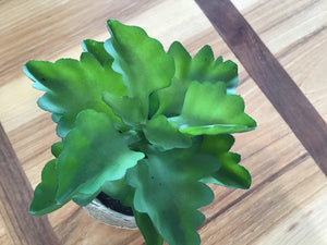 Faux Succulent available at Bench Home