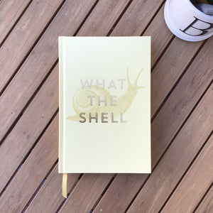 What the Shell Notebook available at Bench Home