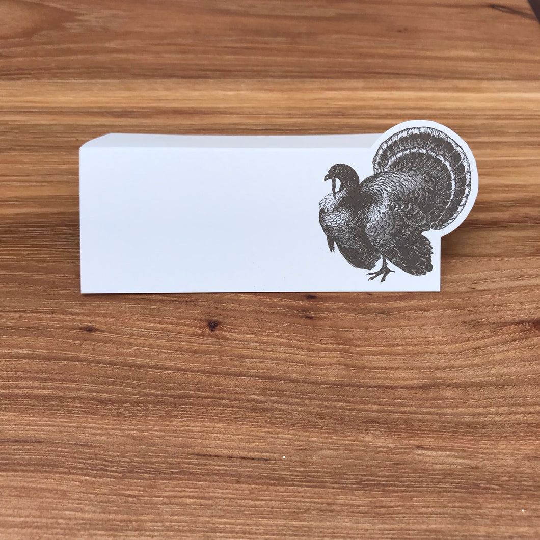 Turkey Place Cards | Set of 12