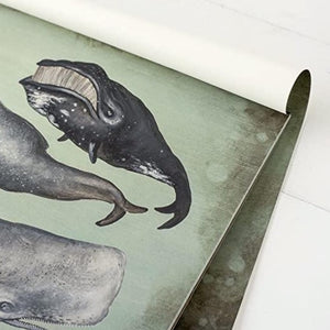 Well, Oh Whale! Paper Placemat | Set of 30 available at Bench Home