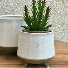 Load image into Gallery viewer, Footed Plant Pot | 2 Sizes