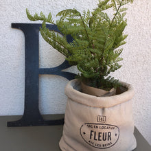 Load image into Gallery viewer, Wrapped Faux Fern | 2 Styles