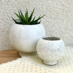 Rounded Plant Pot | 2 Sizes available at Bench Home